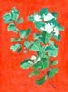 Jasmine