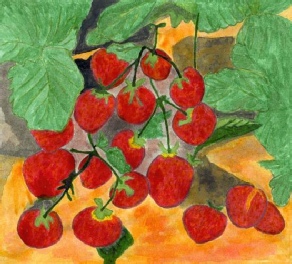 Strawberries